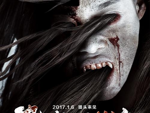 新南威尔士州驾驶证真实样板